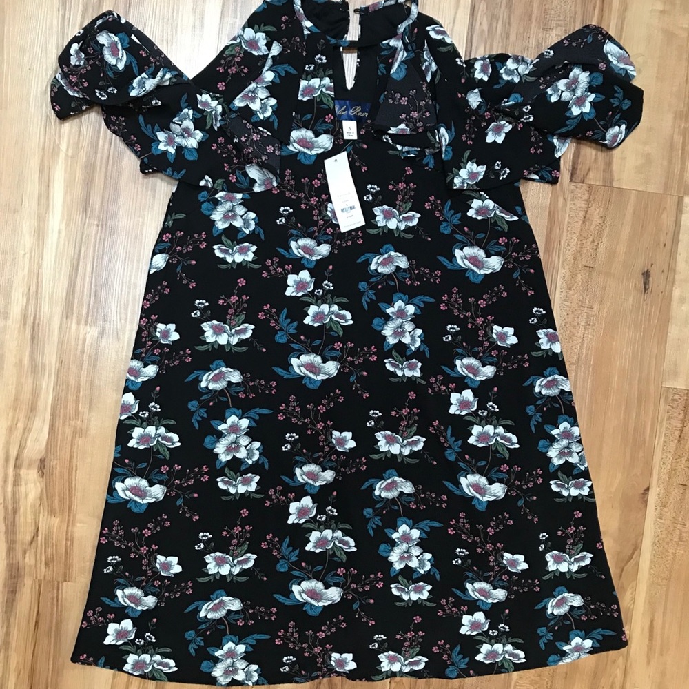 NWT Small Dress from Francesca’s